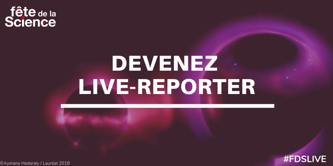 Xl livereporter1