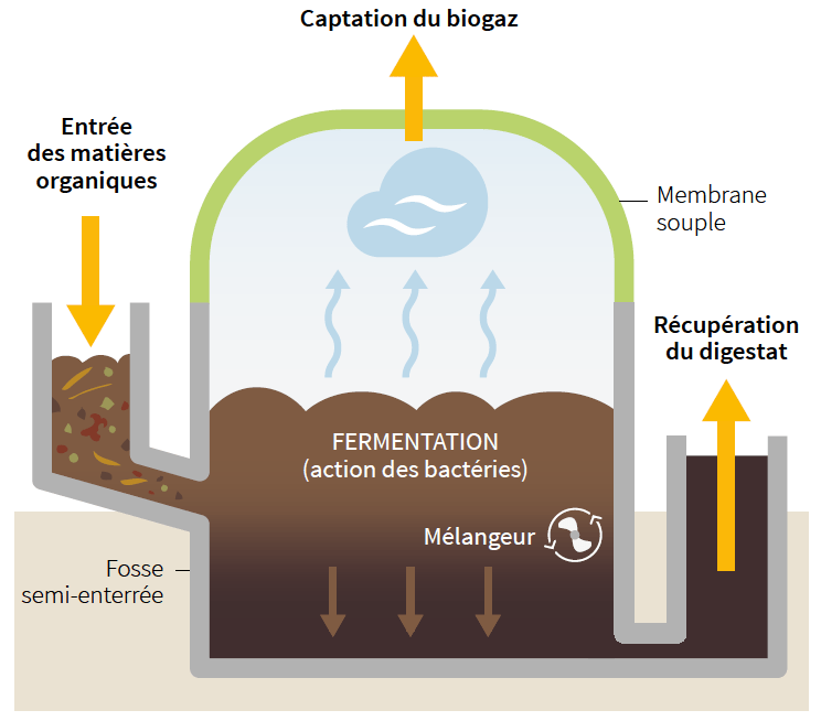 Biogaz à Partir De Bouse Vache