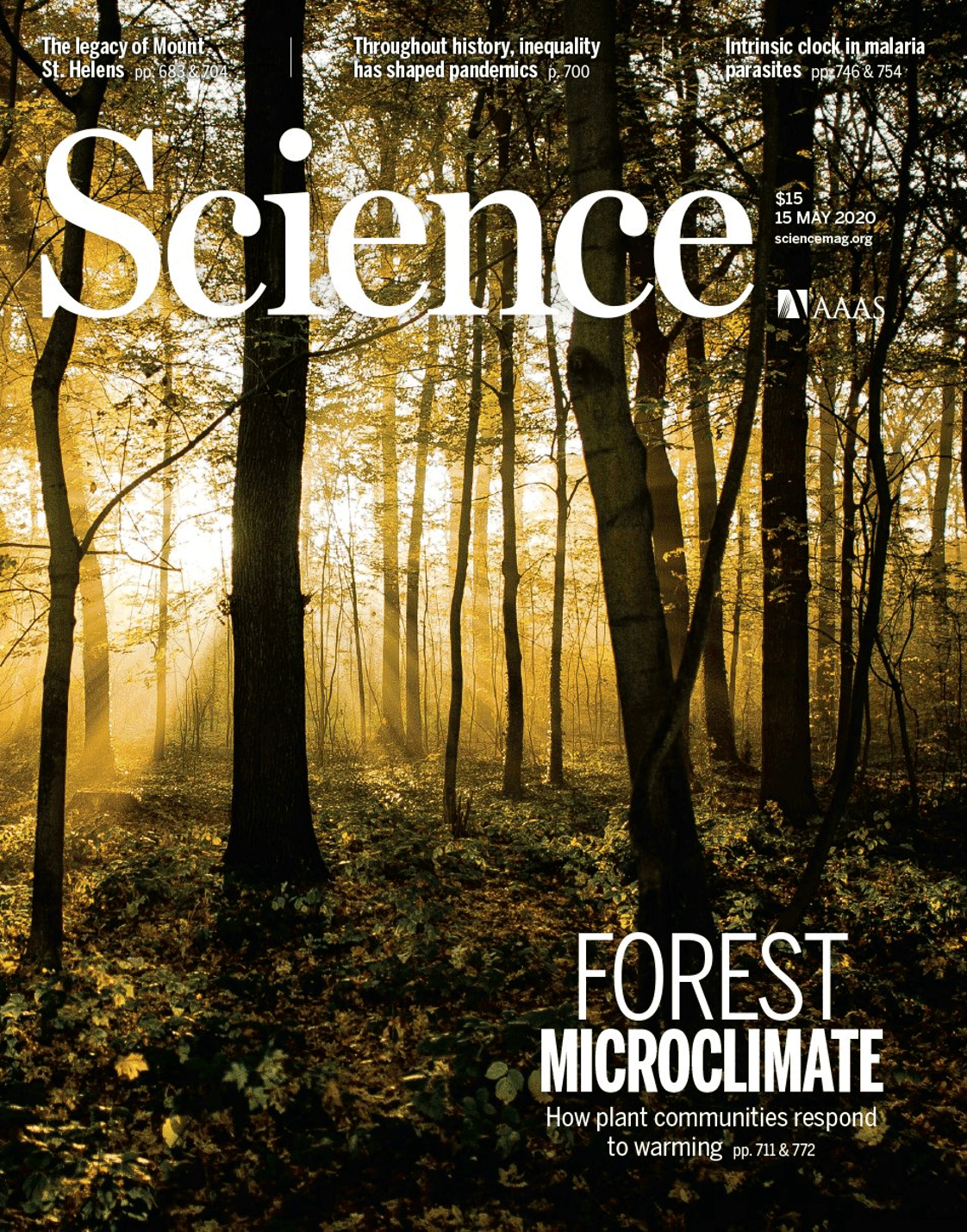 Couverture de Science en mai 2020 (Volume 368, Numéro 6492), photo de Julian Stratenschulte Couverture de Science en mai 2020 (Volume 368, Numéro 6492), photo de Julian Stratenschulte