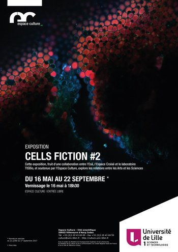 Xl cellsfiction2