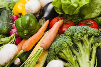 Xl alimentation1.jpg