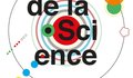 Sm fdsa